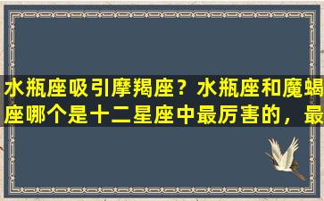 水瓶座吸引摩羯座？水瓶座和魔蝎座哪个是十二星座中最厉害的，最可怕的