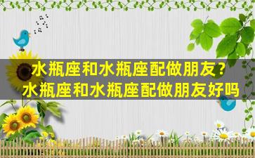 水瓶座和水瓶座配做朋友？水瓶座和水瓶座配做朋友好吗