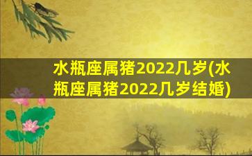 水瓶座属猪2022几岁(水瓶座属猪2022几岁结婚)