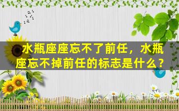 水瓶座座忘不了前任，水瓶座忘不掉前任的标志是什么？