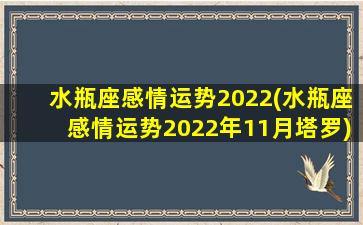 水瓶座感情运势2022(水瓶座感情运势2022年11月塔罗)