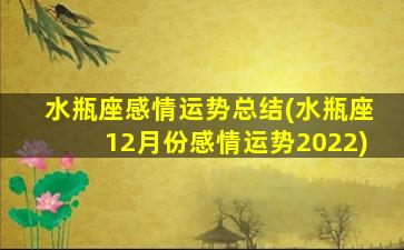 水瓶座感情运势总结(水瓶座12月份感情运势2022)