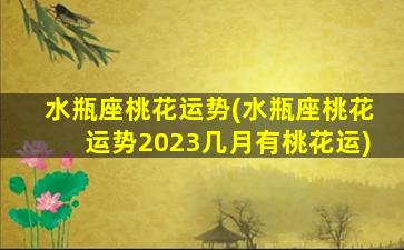 水瓶座桃花运势(水瓶座桃花运势2023几月有桃花运)