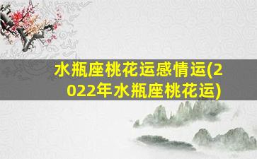 水瓶座桃花运感情运(2022年水瓶座桃花运)