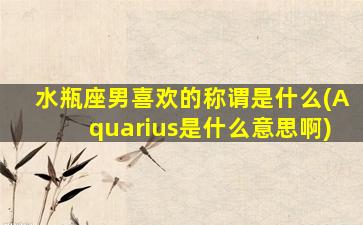 水瓶座男喜欢的称谓是什么(Aquarius是什么意思啊)