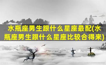 水瓶座男生跟什么星座最配(水瓶座男生跟什么星座比较合得来)