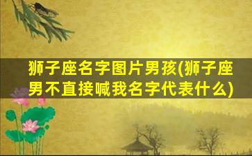 狮子座名字图片男孩(狮子座男不直接喊我名字代表什么)