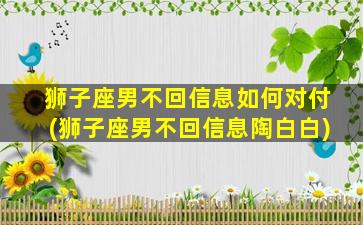 狮子座男不回信息如何对付(狮子座男不回信息陶白白)