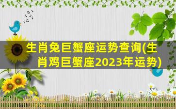 生肖兔巨蟹座运势查询(生肖鸡巨蟹座2023年运势)