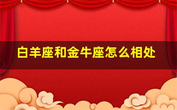 白羊座和金牛座怎么相处