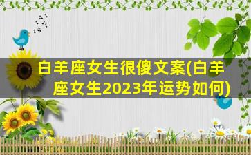 白羊座女生很傻文案(白羊座女生2023年运势如何)