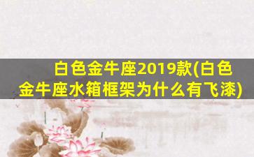 白色金牛座2019款(白色金牛座水箱框架为什么有飞漆)