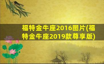 福特金牛座2016图片(福特金牛座2019款尊享版)