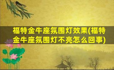 福特金牛座氛围灯效果(福特金牛座氛围灯不亮怎么回事)