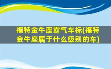 福特金牛座霸气车标(福特金牛座属于什么级别的车)