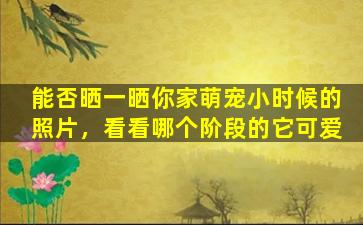 能否晒一晒你家萌宠小时候的照片，看看哪个阶段的它可爱