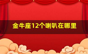 金牛座12个喇叭在哪里