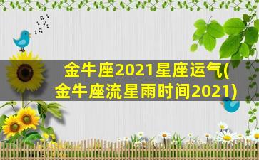 金牛座2021星座运气(金牛座流星雨时间2021)