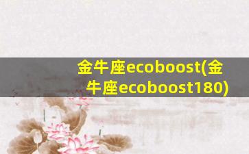 金牛座ecoboost(金牛座ecoboost180)