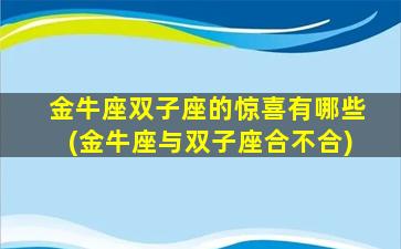 金牛座双子座的惊喜有哪些(金牛座与双子座合不合)