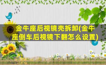 金牛座后视镜壳拆卸(金牛座倒车后视镜下翻怎么设置)