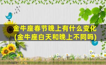 金牛座春节晚上有什么变化(金牛座白天和晚上不同吗)