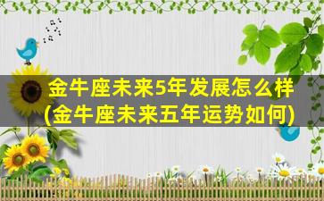 金牛座未来5年发展怎么样(金牛座未来五年运势如何)