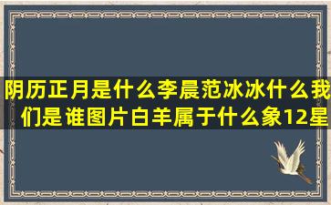 阴历正月是什么李晨范冰冰什么我们是谁图片白羊属于什么象12星座谁最狠(阴历正月十四是什么星座)