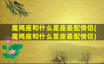 魔羯座和什么星座最配情侣(魔羯座和什么星座最配情侣)